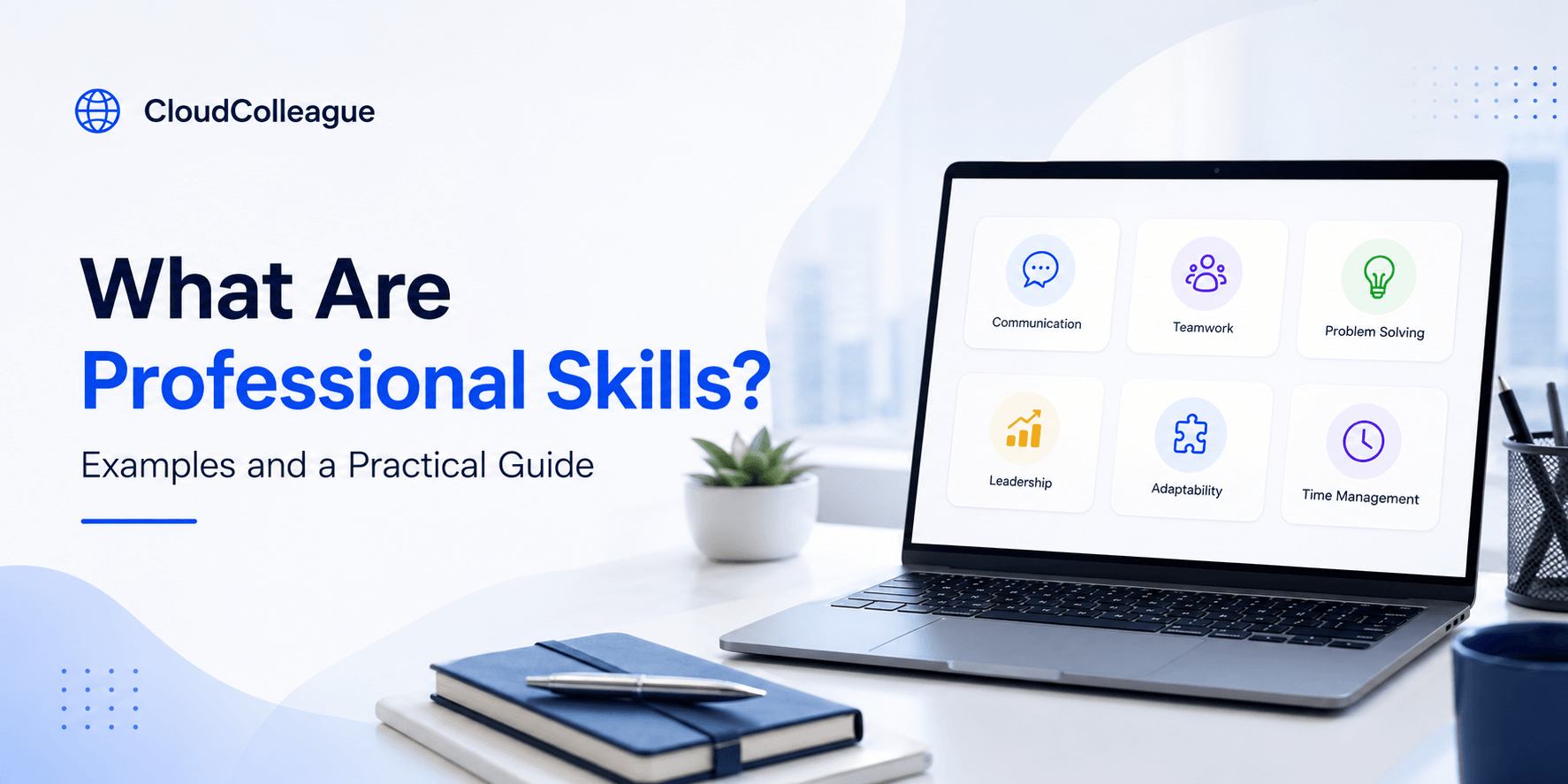 professional skills